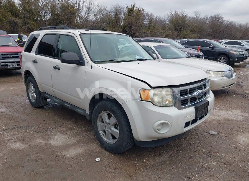 2010 Ford Escape XLT (VIN 1FMCU0DG3AKA80095) main photo