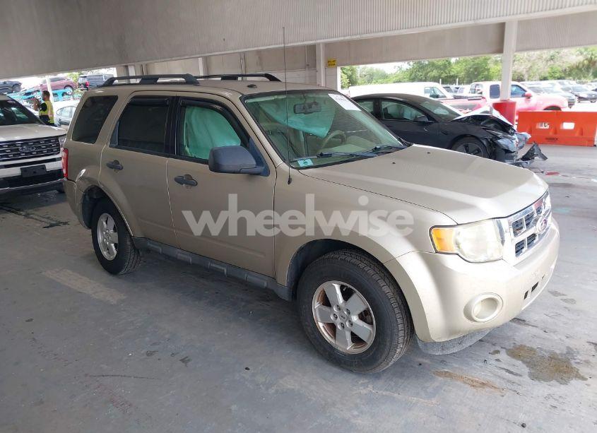 2010 Ford Escape XLT (VIN 1FMCU0DG3AKD09729) main photo