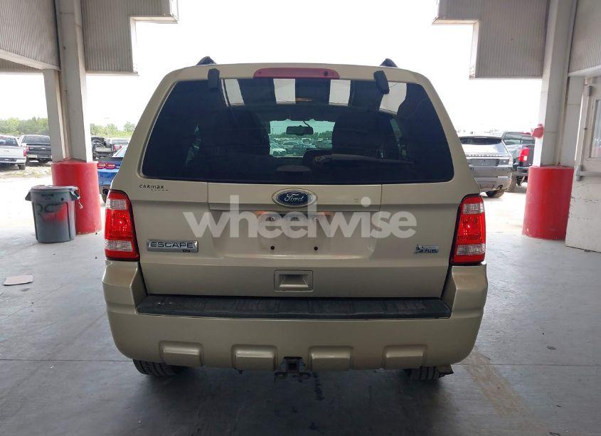 Photo 16 of 2010 Ford Escape XLT (VIN 1FMCU0DG3AKD09729)