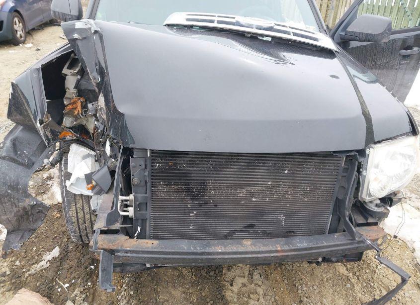 Photo 10 of 2011 Ford Escape XLT (VIN 1FMCU0DG4BKA91186)