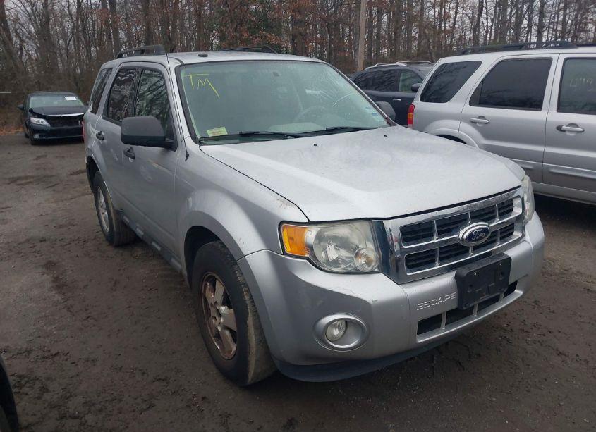 2011 Ford Escape XLT (VIN 1FMCU0DG4BKB89148) main photo