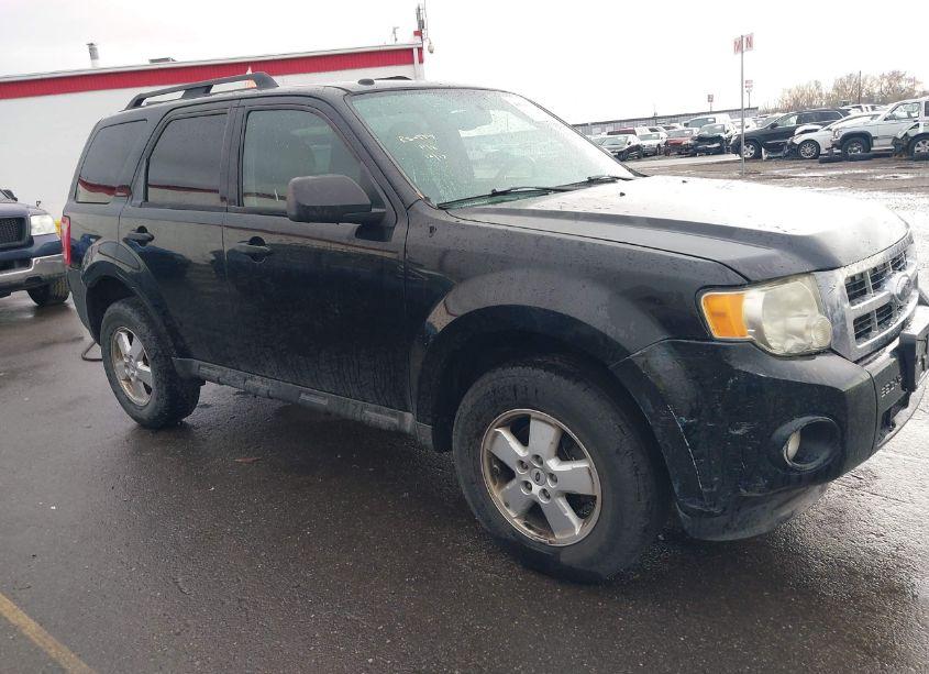 2010 Ford Escape XLT (VIN 1FMCU0DG6AKA08629) main photo