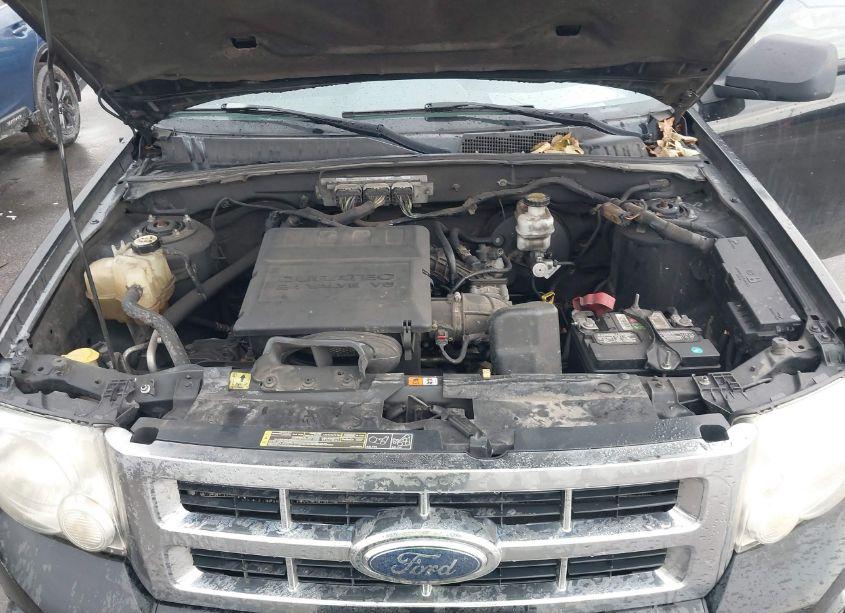 Photo 10 of 2010 Ford Escape XLT (VIN 1FMCU0DG6AKA08629)
