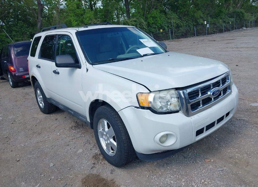 2011 Ford Escape XLT (VIN 1FMCU0DG6BKA32754) main photo