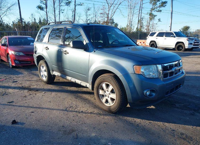 2010 Ford Escape XLT (VIN 1FMCU0DG7AKD32284) main photo