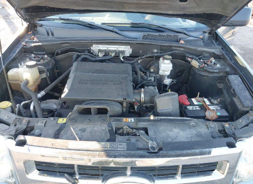 Photo 10 of 2010 Ford Escape XLT (VIN 1FMCU0DG7AKD32284)