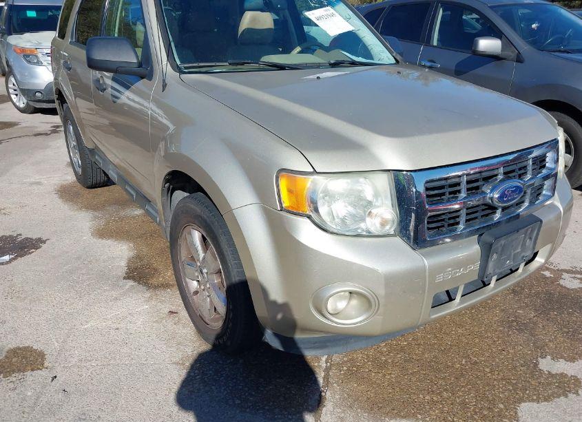 2011 Ford Escape XLT (VIN 1FMCU0DG7BKB59254) main photo