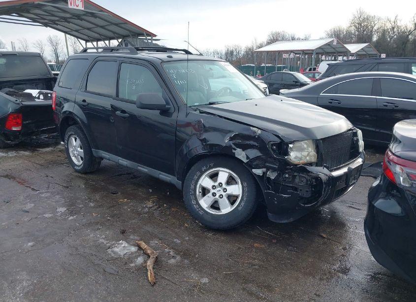 2011 Ford Escape XLT (VIN 1FMCU0DG7BKC27553) main photo