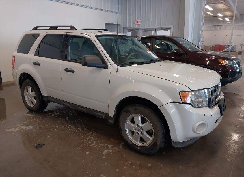 2010 Ford Escape XLT (VIN 1FMCU0DG8AKA08552) main photo