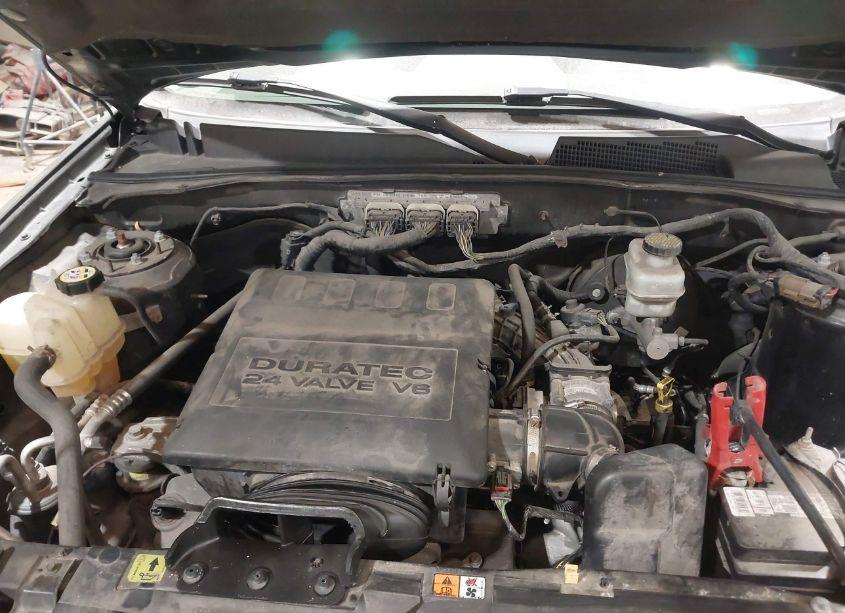 Photo 10 of 2010 Ford Escape XLT (VIN 1FMCU0DG8AKB76742)