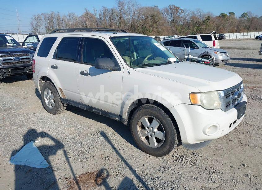 2010 Ford Escape XLT (VIN 1FMCU0DG8AKC62617) main photo