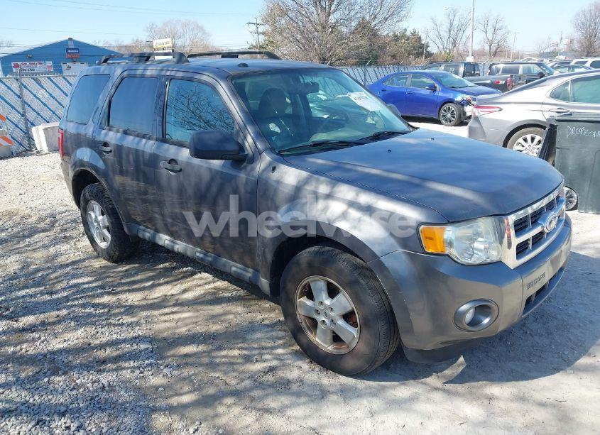 2010 Ford Escape XLT (VIN 1FMCU0DG9AKB89919) main photo
