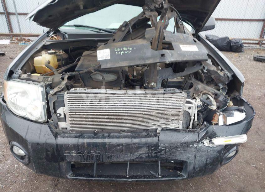 Photo 10 of 2010 Ford Escape XLT (VIN 1FMCU0DGXAKD10991)