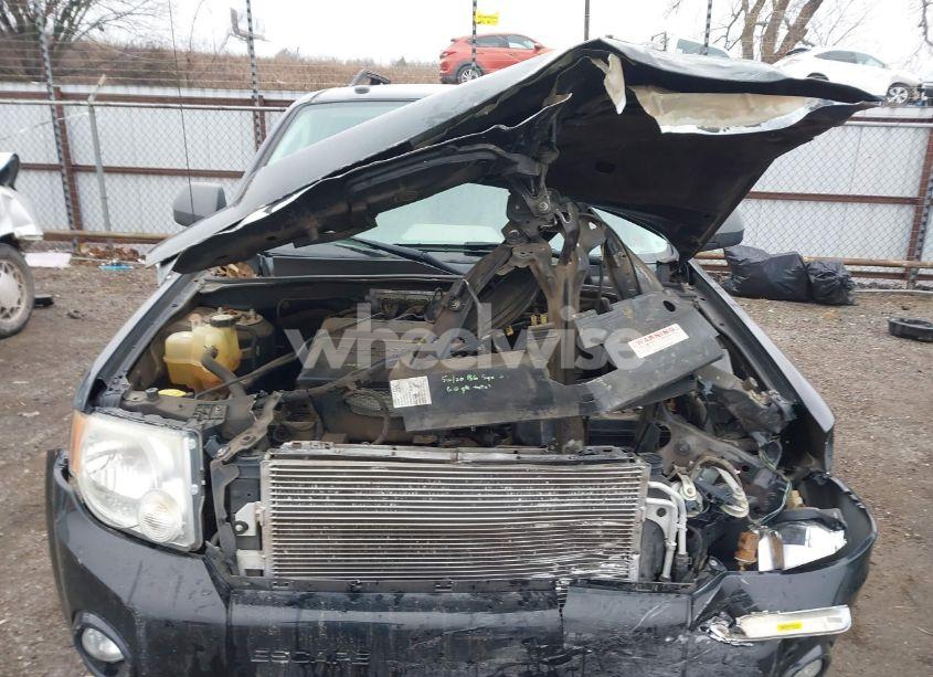 Photo 12 of 2010 Ford Escape XLT (VIN 1FMCU0DGXAKD10991)