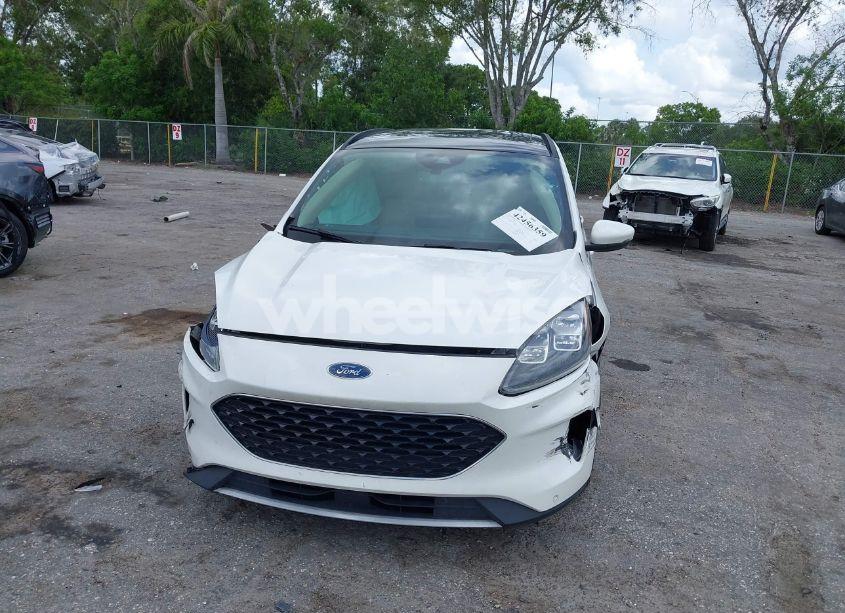 Photo 6 of 2020 Ford Escape TITANIUM HYBRID (VIN 1FMCU0DZ3LUC07842)