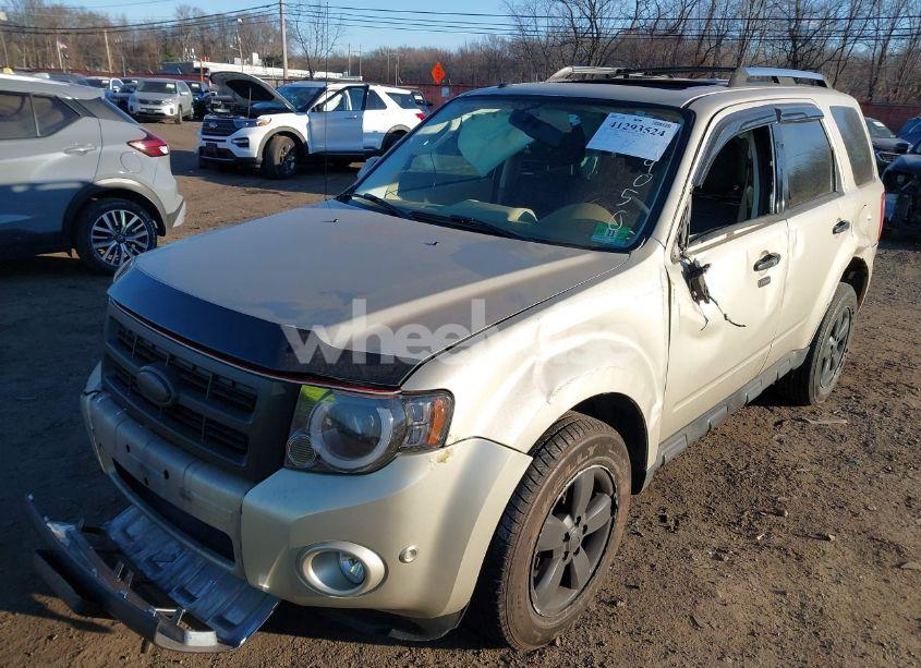 Photo 6 of 2010 Ford Escape LIMITED (VIN 1FMCU0E71AKD09050)