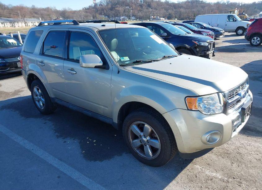 2010 Ford Escape LIMITED (VIN 1FMCU0E76AKC63084) main photo