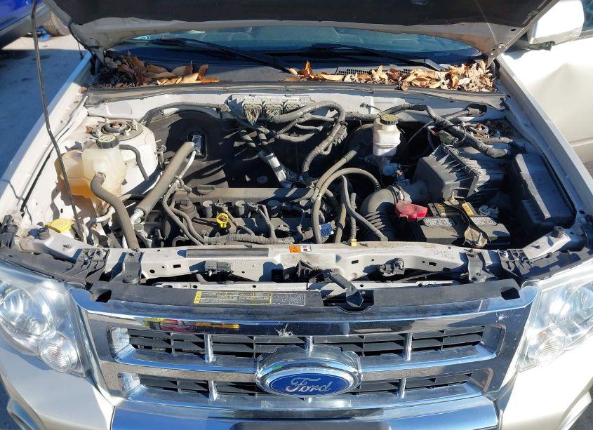 Photo 10 of 2010 Ford Escape LIMITED (VIN 1FMCU0E76AKC63084)