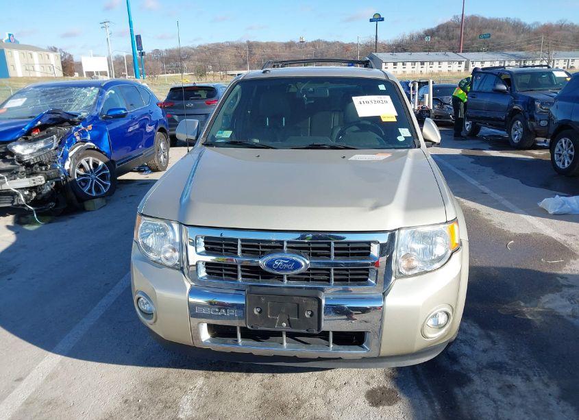 Photo 12 of 2010 Ford Escape LIMITED (VIN 1FMCU0E76AKC63084)
