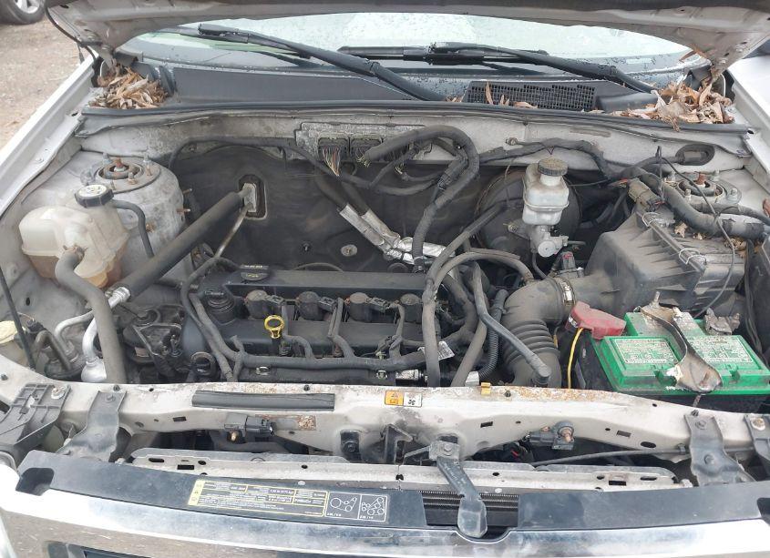 Photo 10 of 2010 Ford Escape LIMITED (VIN 1FMCU0E79AKB79177)