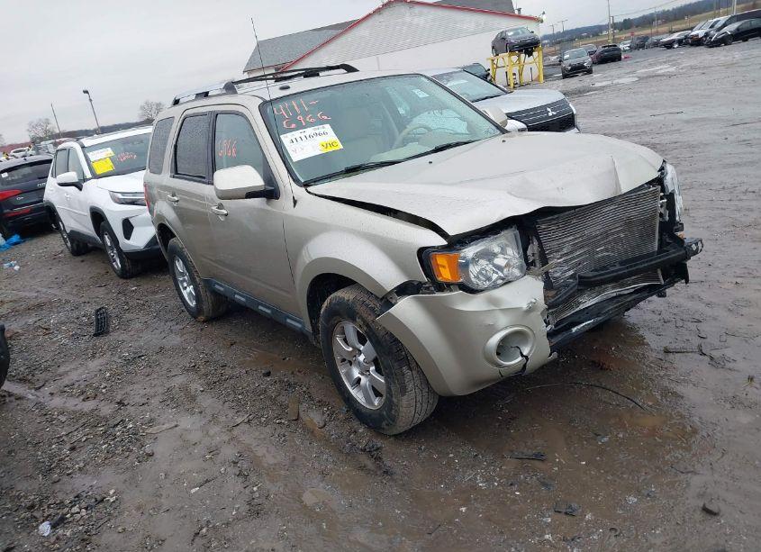 2010 Ford Escape LIMITED (VIN 1FMCU0EG0AKB77611) main photo
