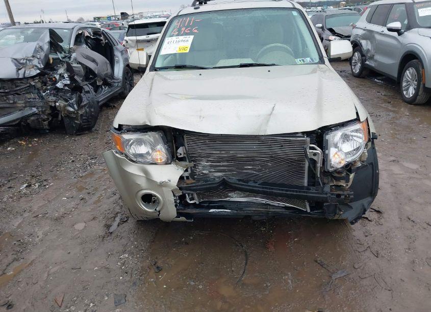 Photo 6 of 2010 Ford Escape LIMITED (VIN 1FMCU0EG0AKB77611)