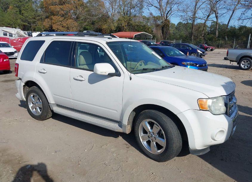 2010 Ford Escape LIMITED (VIN 1FMCU0EG3AKB54890) main photo