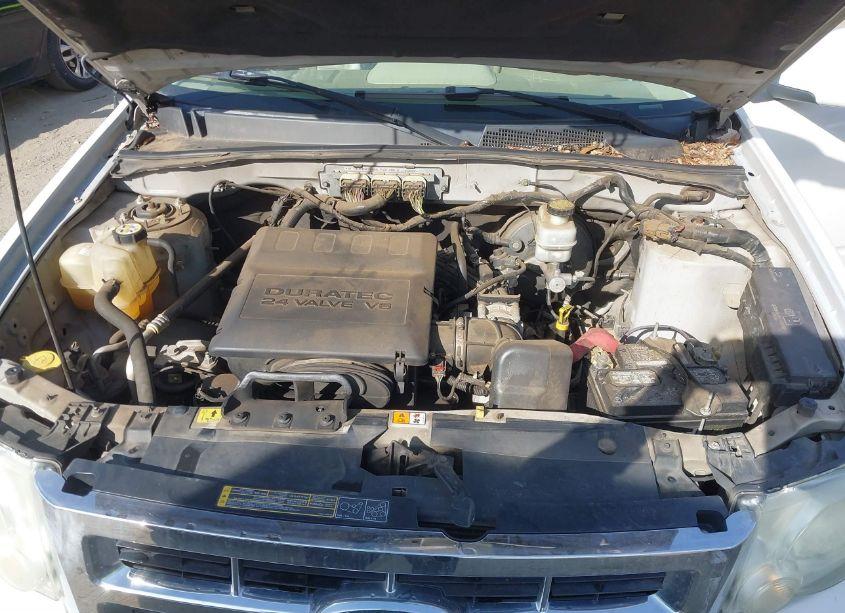 Photo 10 of 2010 Ford Escape LIMITED (VIN 1FMCU0EG3AKB54890)