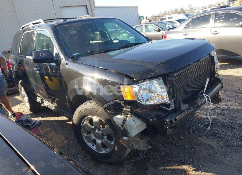 2011 Ford Escape LIMITED (VIN 1FMCU0EG3BKC40167) main photo