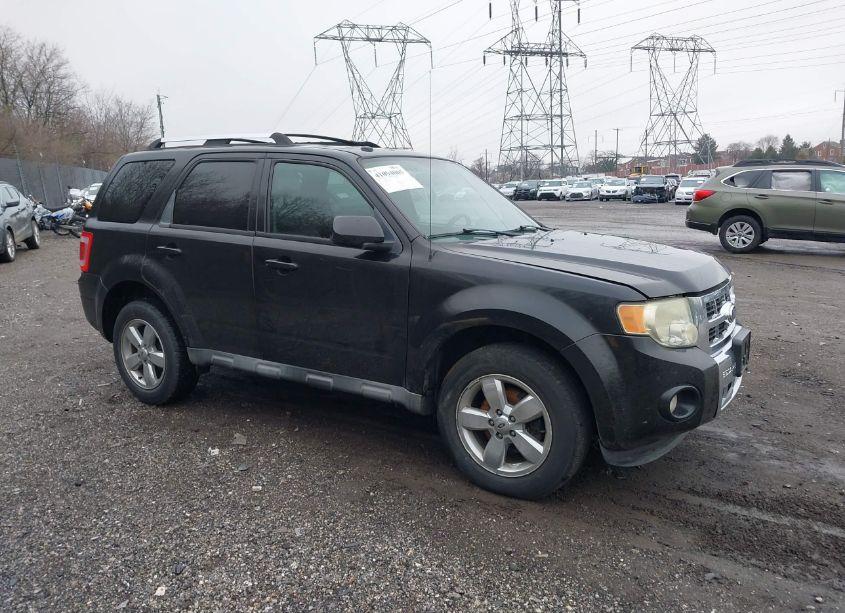 2010 Ford Escape LIMITED (VIN 1FMCU0EG4AKD15988) main photo