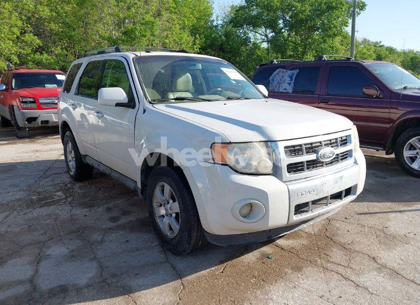 2011 Ford Escape LIMITED (VIN 1FMCU0EG4BKA28989) main photo