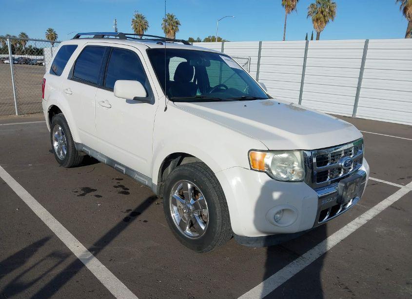 2010 Ford Escape LIMITED (VIN 1FMCU0EG5AKB93609) main photo