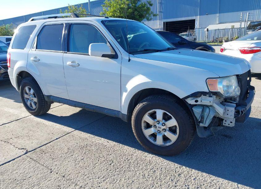 2011 Ford Escape LIMITED (VIN 1FMCU0EG6BKA28976) main photo