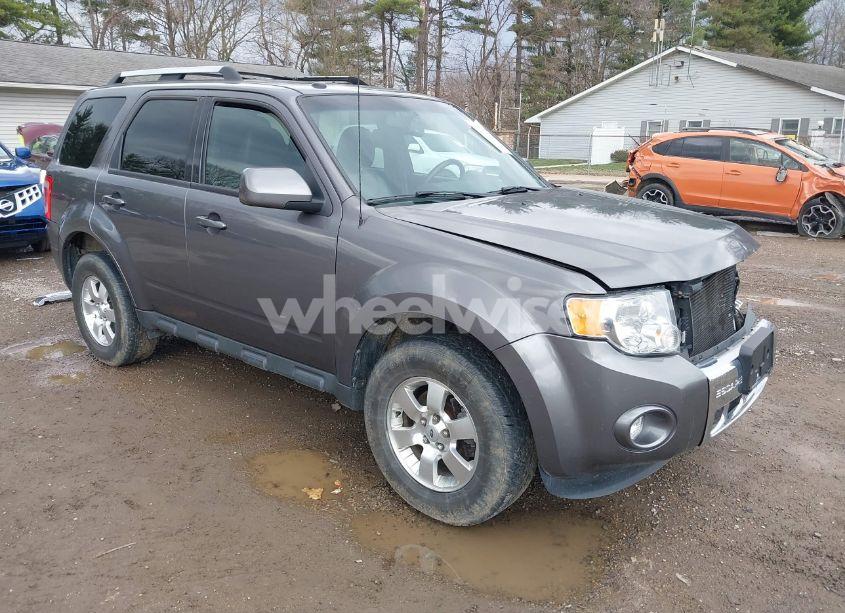 2011 Ford Escape LIMITED (VIN 1FMCU0EG6BKB21531) main photo