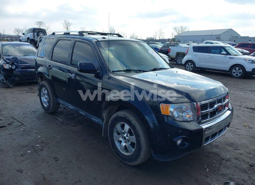 2011 Ford Escape LIMITED (VIN 1FMCU0EG6BKC64575) main photo