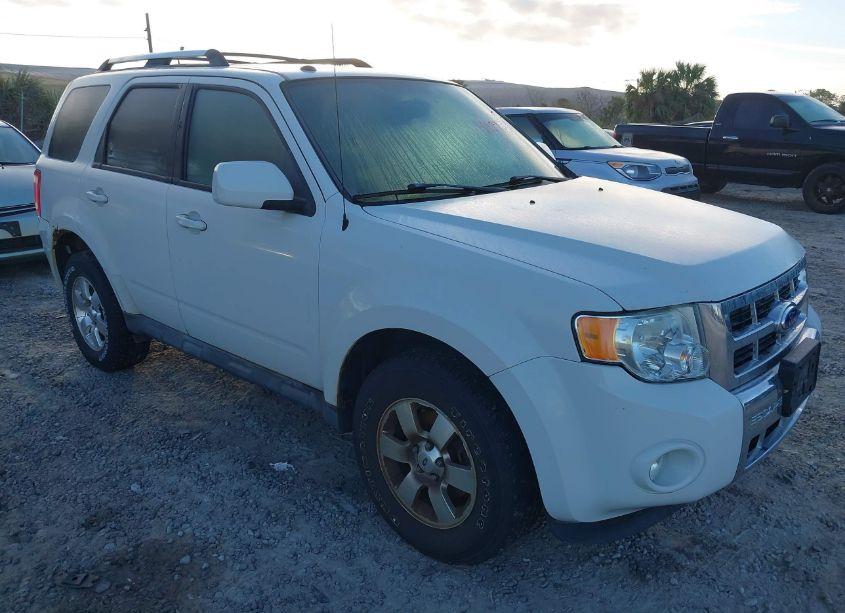 2011 Ford Escape LIMITED (VIN 1FMCU0EG6BKC69212) main photo