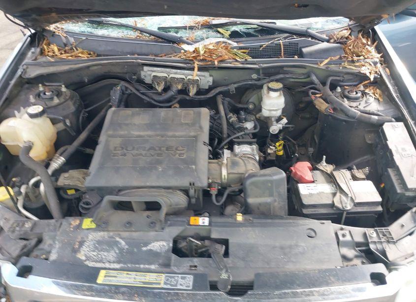 Photo 10 of 2010 Ford Escape LIMITED (VIN 1FMCU0EG9AKA53093)