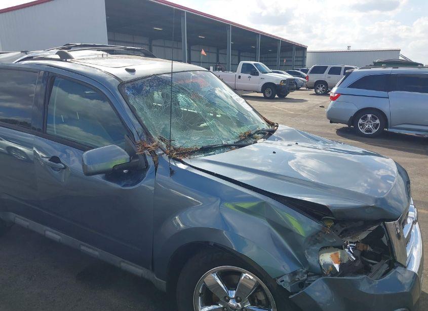 Photo 6 of 2010 Ford Escape LIMITED (VIN 1FMCU0EG9AKA53093)