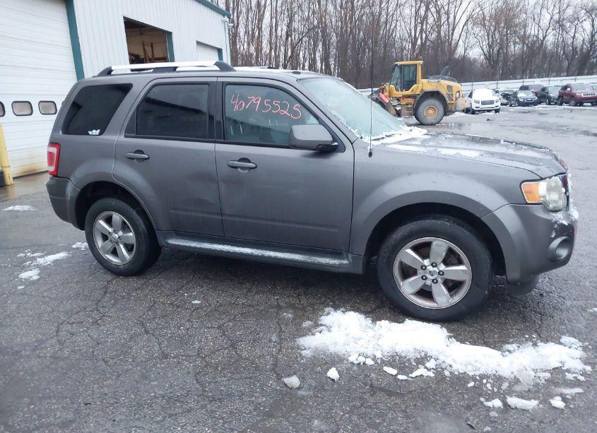 2011 Ford Escape LIMITED (VIN 1FMCU0EG9BKA53161) main photo