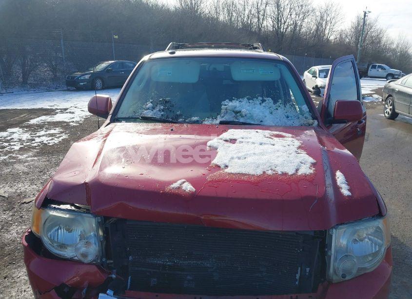 Photo 10 of 2011 Ford Escape LIMITED (VIN 1FMCU0EG9BKA99038)