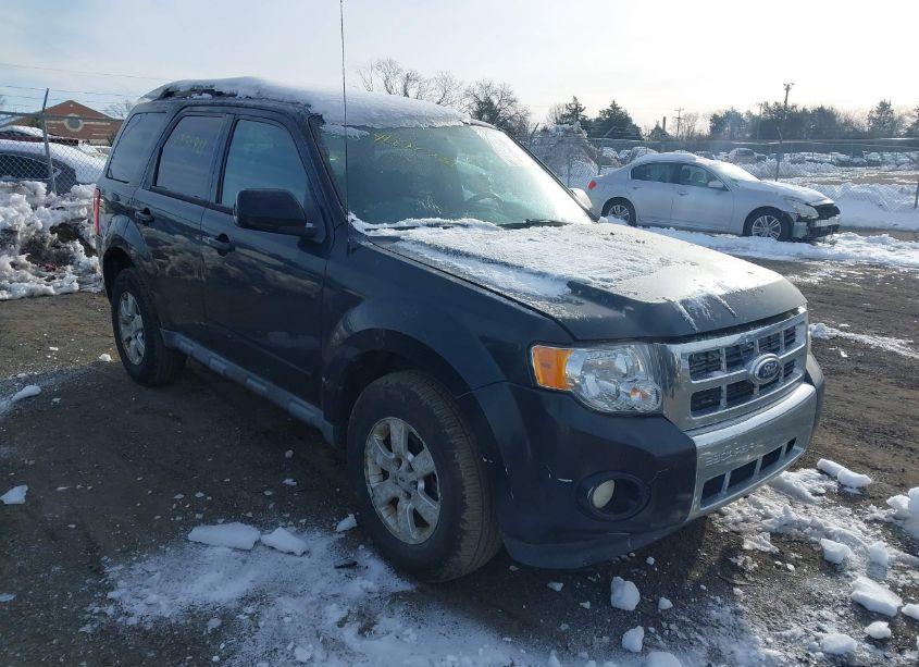 2010 Ford Escape LIMITED (VIN 1FMCU0EGXAKC23199) main photo