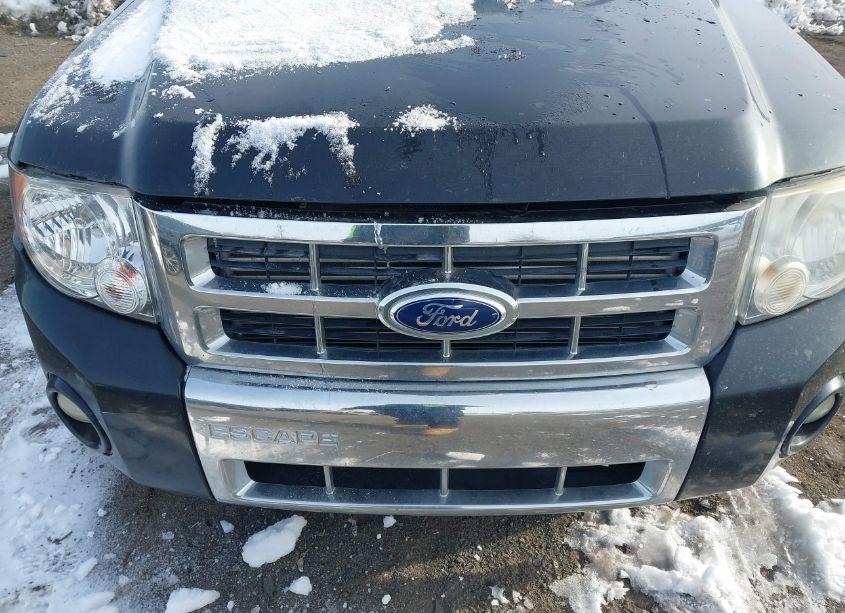 Photo 6 of 2010 Ford Escape LIMITED (VIN 1FMCU0EGXAKC23199)