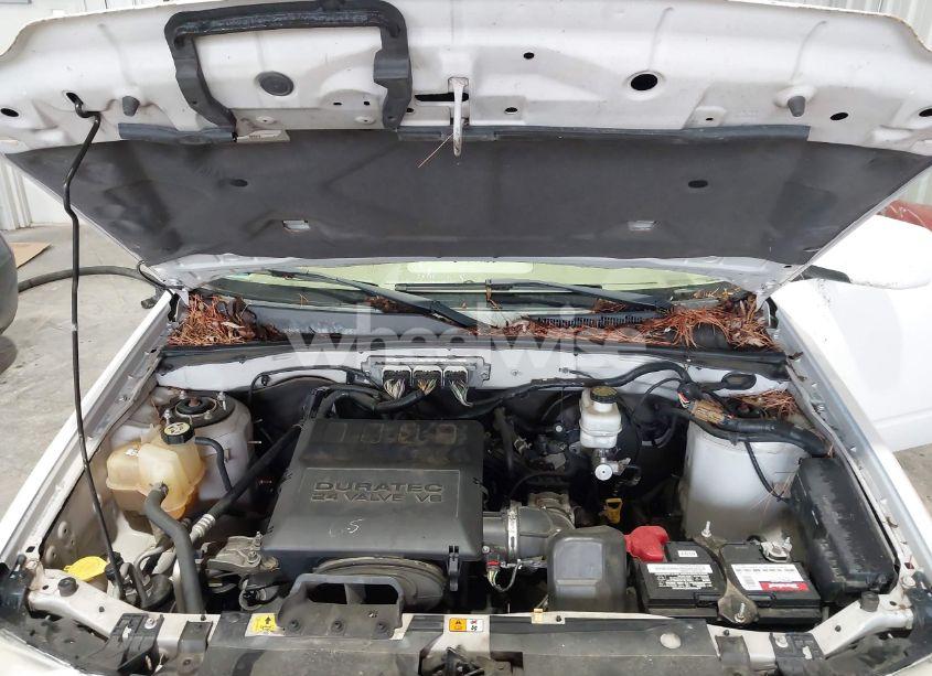 Photo 10 of 2010 Ford Escape LIMITED (VIN 1FMCU0EGXAKD16384)