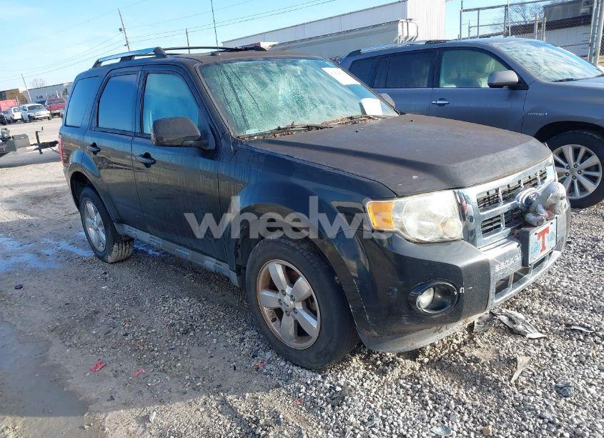 2011 Ford Escape LIMITED (VIN 1FMCU0EGXBKA25353) main photo