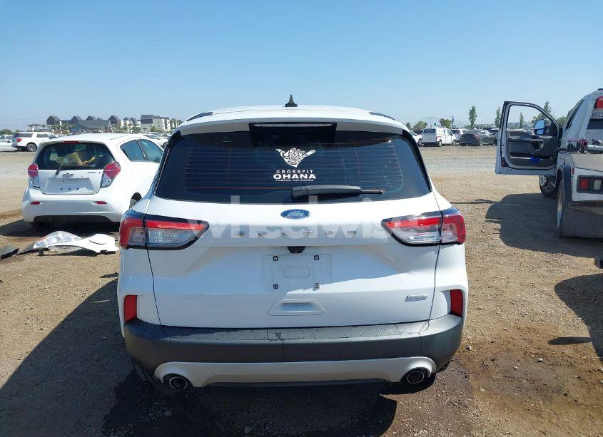 Photo 16 of 2020 Ford Escape S (VIN 1FMCU0F60LUA84424)