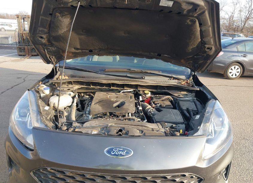 Photo 10 of 2020 Ford Escape S (VIN 1FMCU0F61LUB25109)