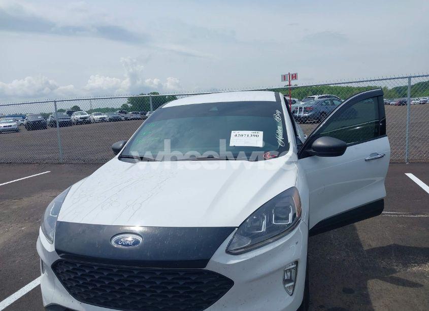 Photo 6 of 2020 Ford Escape S (VIN 1FMCU0F63LUB95145)