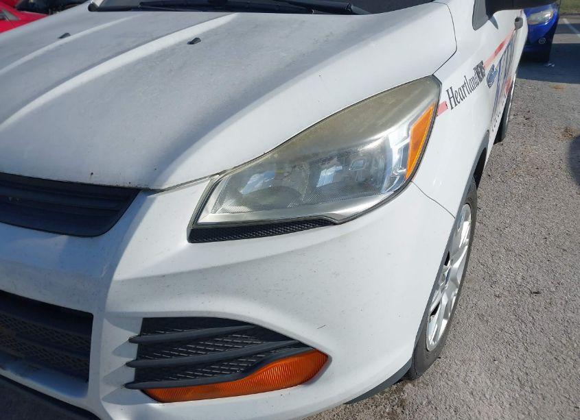 Photo 14 of 2013 Ford Escape S (VIN 1FMCU0F70DUA41891)