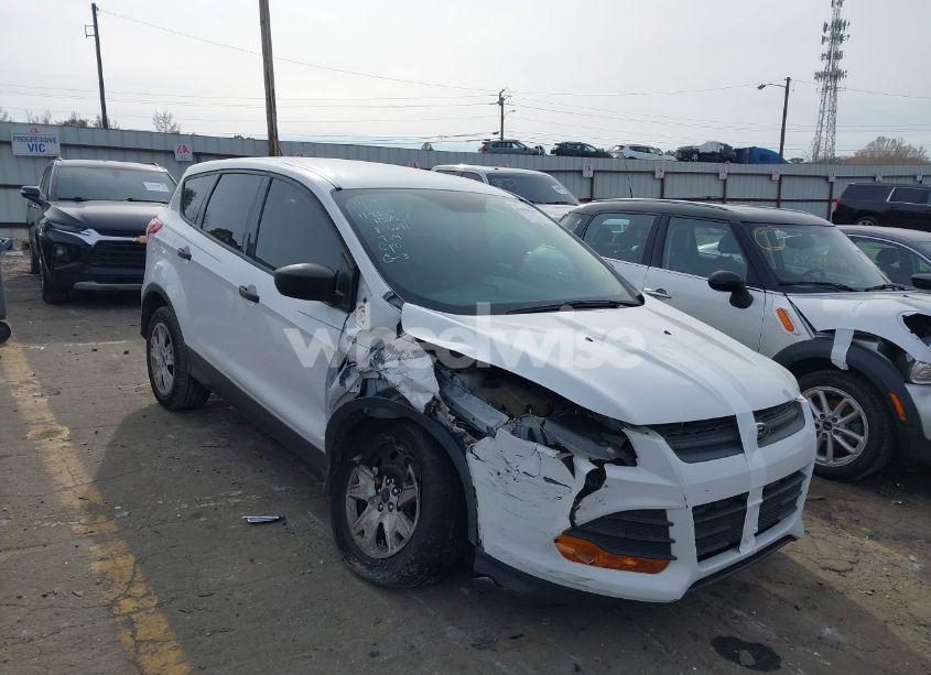2014 Ford Escape S (VIN 1FMCU0F70EUC16691) main photo