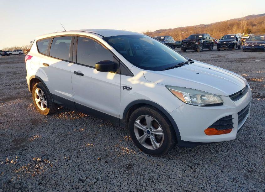 2014 Ford Escape S (VIN 1FMCU0F71EUE07455) main photo